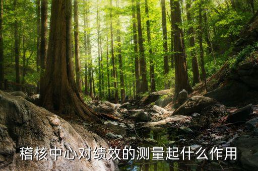 業(yè)績(jī)稽核是什么意思，電信的考核和稽核有什么區(qū)別