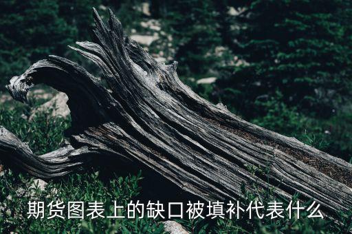 期貨圖表上的缺口被填補(bǔ)代表什么