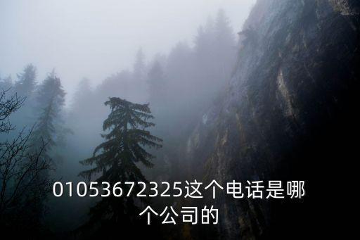 北京微貸網(wǎng)是什么公司電話號碼，北京完美世界網(wǎng)絡(luò)技術(shù)有限公司