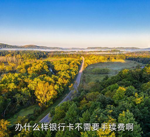 什么卡不要手續(xù)費(fèi)嗎，辦什么樣銀行卡不需要手續(xù)費(fèi)啊