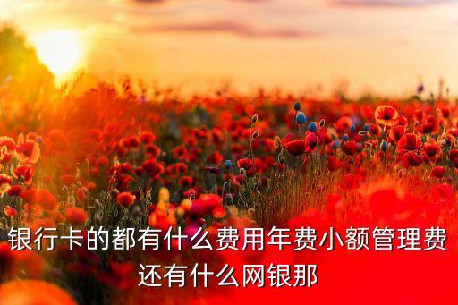 銀行卡的都有什么費(fèi)用年費(fèi)小額管理費(fèi)還有什么網(wǎng)銀那