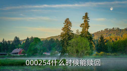 000254什么時候能贖回