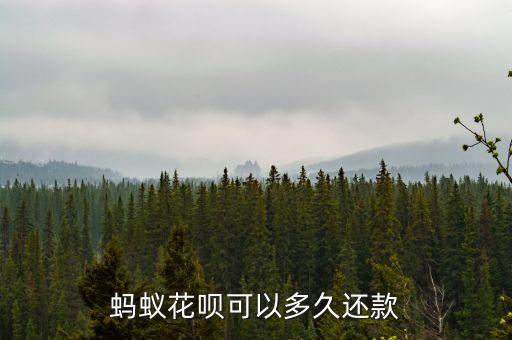 螞蟻花唄可以多久還款