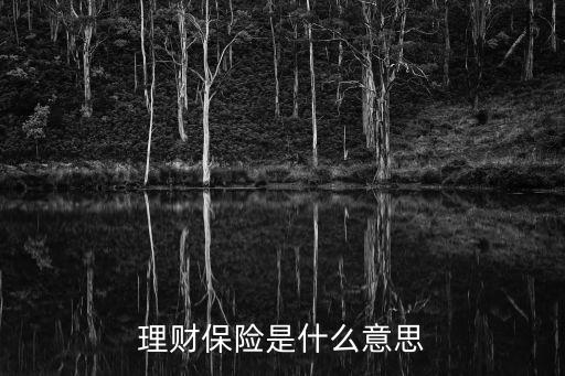 理財(cái)保險(xiǎn)是什么意思