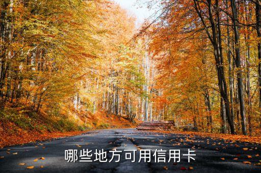 哪些地方可用信用卡