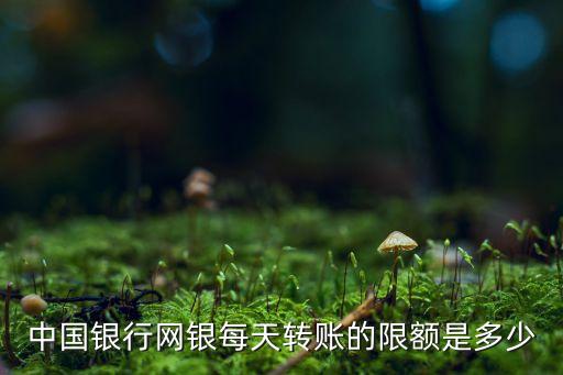 中國銀行網(wǎng)銀每天轉賬的限額是多少