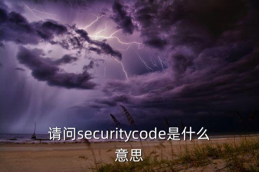 請問securitycode是什么意思