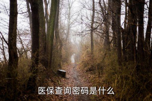 醫(yī)保查詢密碼是什么