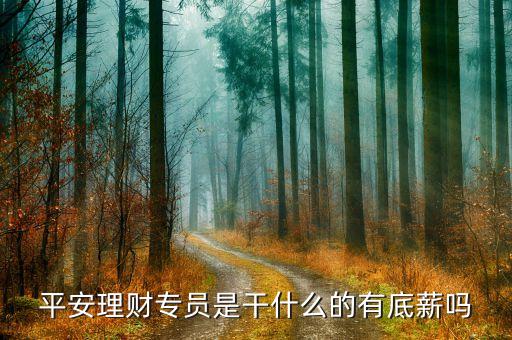 平安理財(cái)是什么職業(yè)，中國(guó)平安保險(xiǎn)公司的理財(cái)規(guī)劃師投資顧問(wèn)是做什么的