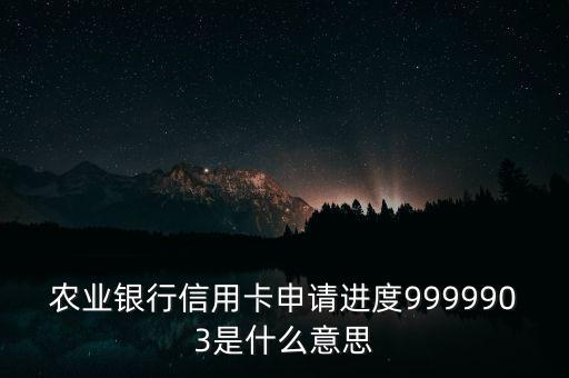農(nóng)業(yè)銀行信用卡申請進(jìn)度9999903是什么意思