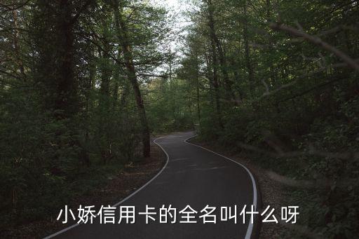 信用卡小嬌是什么意思是什么意思是什么，信用卡上的小鴿子代表什么意思