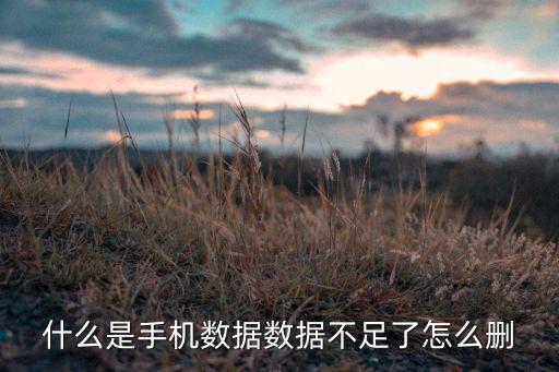 什么是手機(jī)數(shù)據(jù)數(shù)據(jù)不足了怎么刪