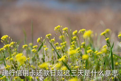 建行信用卡還款日延遲三天是什么意思