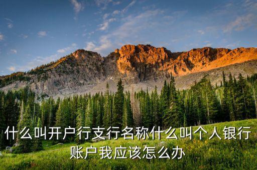 請問什么叫銀行帳戶，什么叫開戶行支行名稱什么叫個人銀行賬戶我應該怎么辦