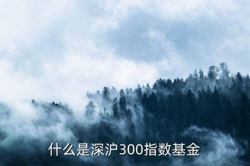 滬深300是基金的什么意思，滬深300的指數(shù)基金是什么意思