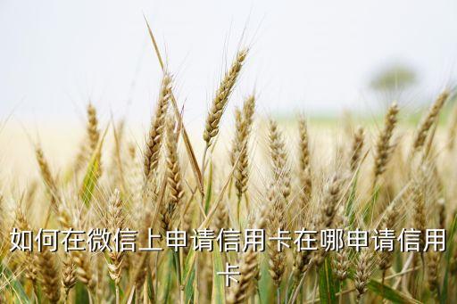如何在微信上申請(qǐng)信用卡在哪申請(qǐng)信用卡