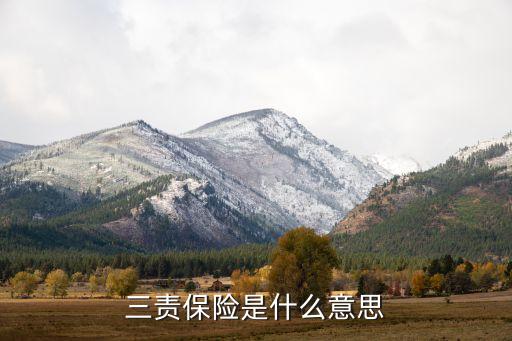 三責保險是什么意思