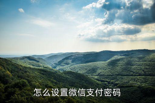 怎么設(shè)置微信支付密碼