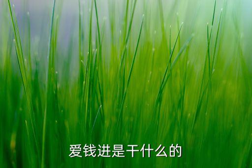 愛(ài)錢進(jìn)干什么的，愛(ài)錢進(jìn)是干什么的