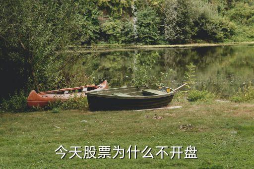 今天為什么股市不開(kāi)盤(pán)，為什么股市今天不開(kāi)市