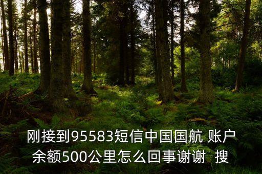 剛接到95583短信中國國航 賬戶余額500公里怎么回事謝謝  搜