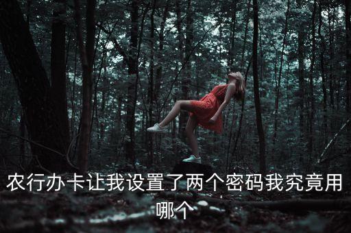 農(nóng)行銀行卡設(shè)兩個(gè)密碼是什么，農(nóng)行辦卡讓我設(shè)置了兩個(gè)密碼我究竟用哪個(gè)