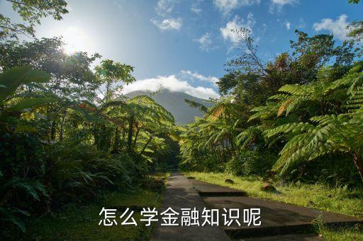怎么學(xué)金融知識呢
