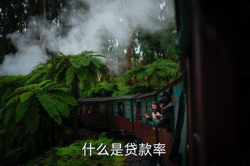 什么是貸款率