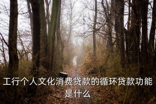 工行個(gè)人文化消費(fèi)貸款的循環(huán)貸款功能是什么