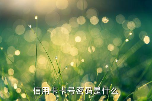 信用卡卡號密碼是什么