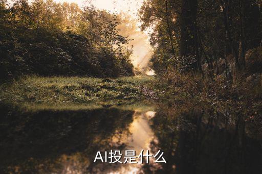 AI投是什么