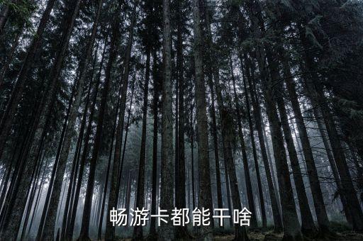 途牛暢游卡是什么意思，暢游卡都能干啥
