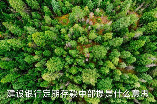 銀行中部是什么原因是什么意思，工行中部開50000是什么意思