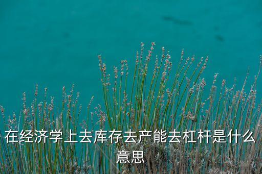在經(jīng)濟(jì)學(xué)上去庫存去產(chǎn)能去杠桿是什么意思