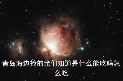 青島海邊撿的親們知道是什么能吃嗎怎么吃