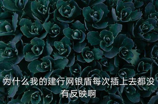 建行網(wǎng)銀盾為什么沒有反應(yīng)，為什么我的建行網(wǎng)銀盾每次插上去都沒有反映啊