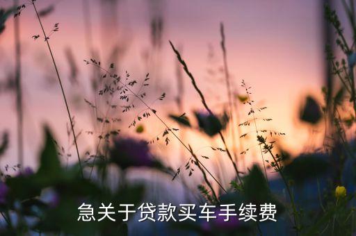 車貸服務費什么時候交，按揭汽車擔保費在那個時間交