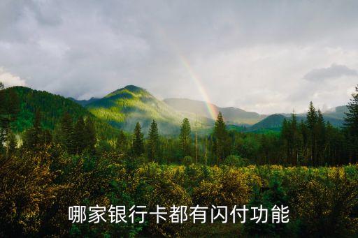 什么銀行帶閃付功能，有閃付功能的銀行卡