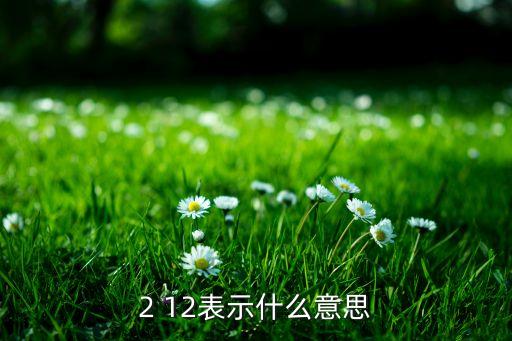 2 12表示什么意思