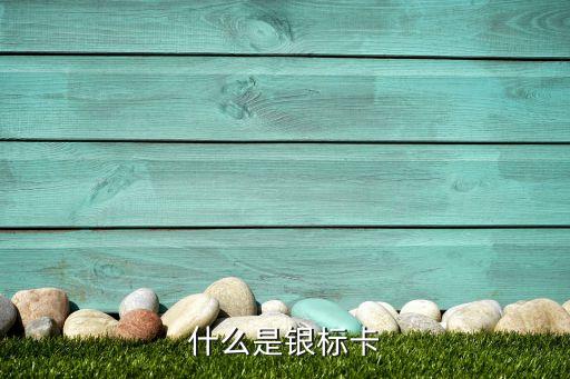 銀聯(lián)標(biāo)準(zhǔn)預(yù)付卡是什么意思，銀聯(lián)預(yù)付卡是什么意思