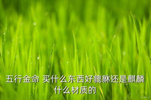 買(mǎi)什么招財(cái)寶，賭的人買(mǎi)什么玉石戴適合