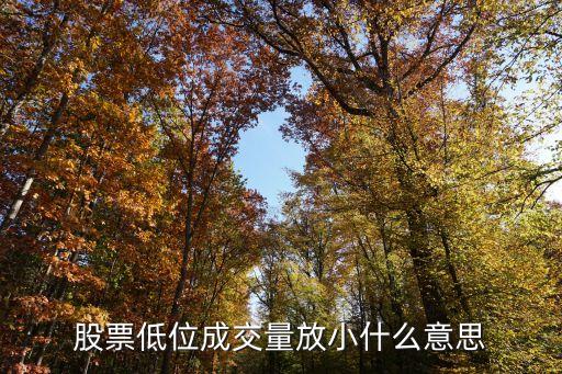股票低位縮量說明什么，股票在底部嚴重縮量振幅不到1代表什么