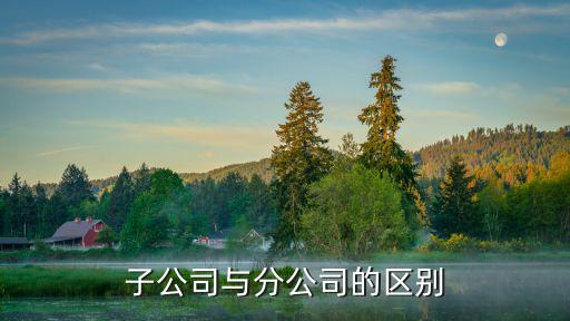子公司與分公司的區(qū)別