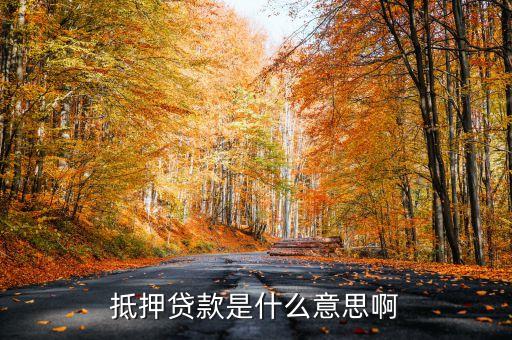 抵押貸款是什么意思啊
