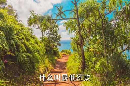 每月最低還款什么意思，最低還款是什么意思求解釋下