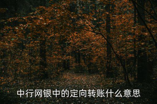 中行網(wǎng)銀中的定向轉(zhuǎn)賬什么意思
