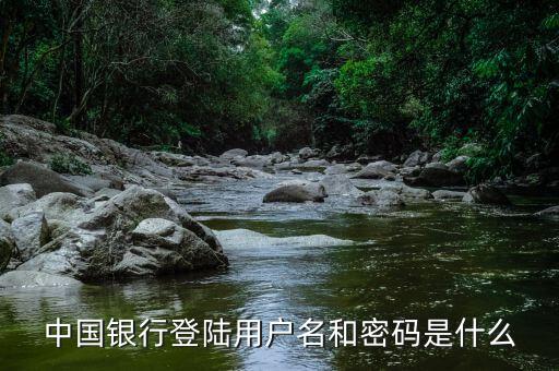 中國銀行登陸用戶名和密碼是什么