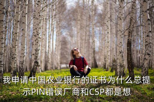 農(nóng)行pin驗(yàn)證失敗是什么意思啊，我申請(qǐng)中國(guó)農(nóng)業(yè)銀行的證書為什么總提示PIN錯(cuò)誤廠商和CSP都是想