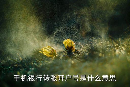 手機(jī)銀行轉(zhuǎn)張開戶號是什么意思