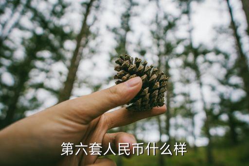 第六套人民幣什么樣